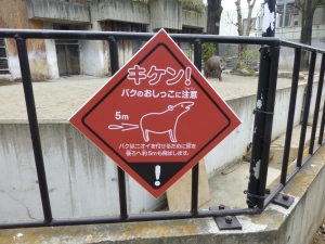 Seen at Tokyo zoo and highly amused me